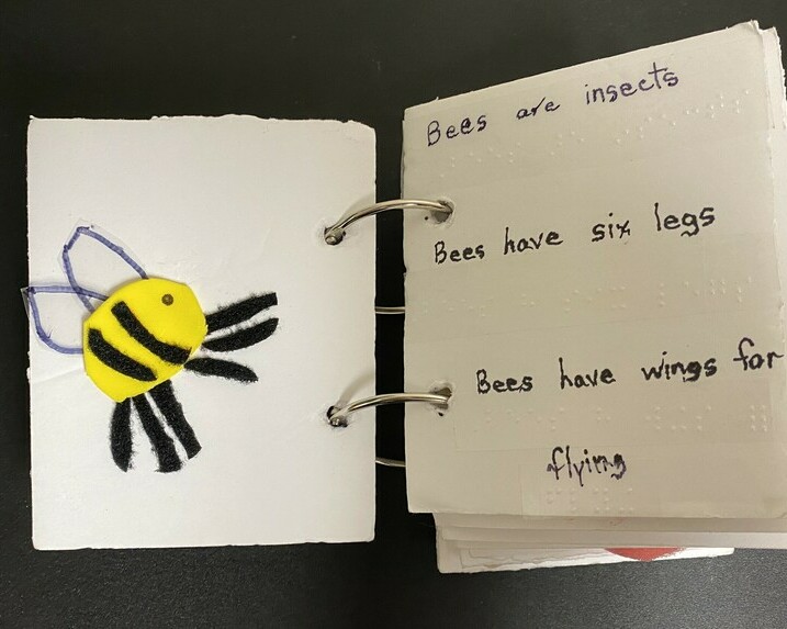 On the left is a felt bee with 6 legs flying in the air. On page 2, there are three sentences in both print and braille. They read: Bees are insects. Bees have six legs. Bees have wings for flying. 