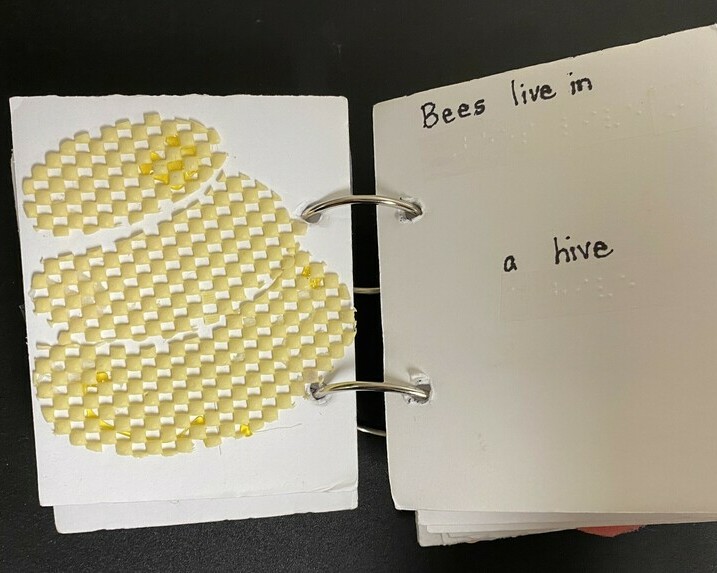 On the left page, there is a three tiered beehive made from yellow non-slip material that looks and feels like honeycomb. The right page reads "Bees live in a hive" in both print and braille.